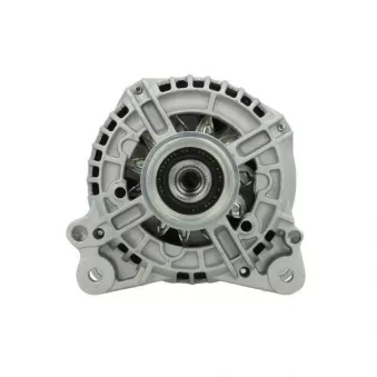 Alternateur BV PSH 305.573.140.014