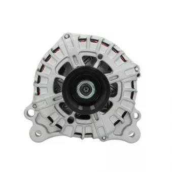 Alternateur BV PSH 305.575.220.004