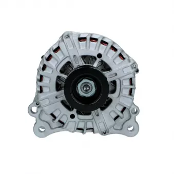 Alternateur BV PSH 305.575.220.008