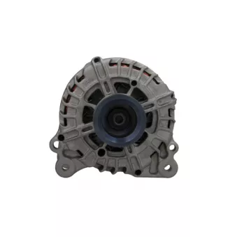 Alternateur BV PSH 305.576.180.500