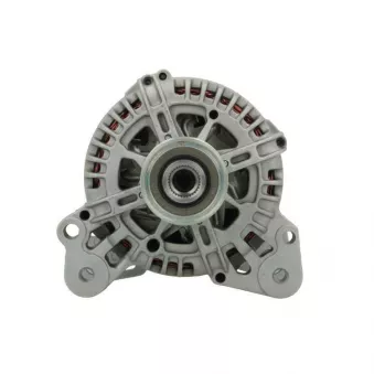 Alternateur BV PSH 305.578.110.000