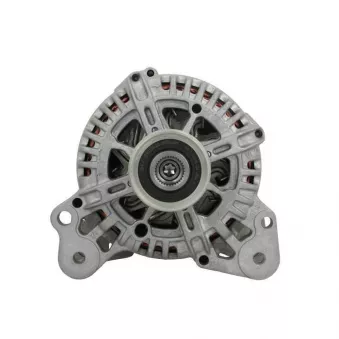 Alternateur BV PSH 305.580.110.500