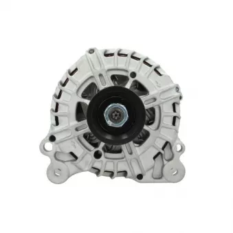 Alternateur BV PSH 305.588.180.004