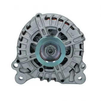 Alternateur BV PSH 305.588.180.500