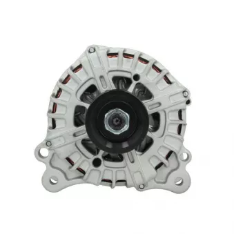 Alternateur BV PSH 305.589.220.004