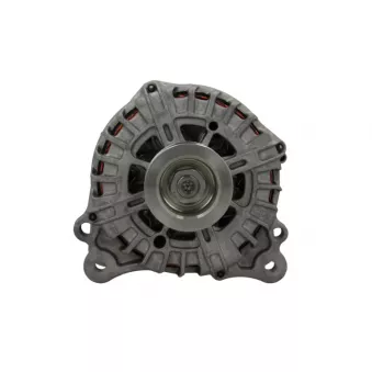 Alternateur BV PSH 305.589.220.500