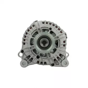 Alternateur BV PSH 305.590.140.004