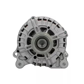 Alternateur BV PSH 305.593.180.000