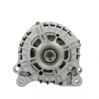 Alternateur BV PSH 305.593.180.004