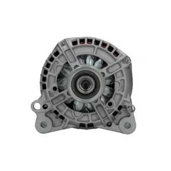 Alternateur BV PSH 305.594.140.010