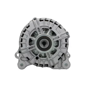 Alternateur BV PSH 305.595.140.000