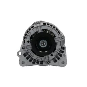 Alternateur BV PSH 305.596.090.018