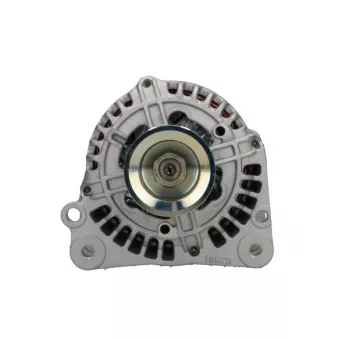 Alternateur BV PSH 305.596.090.310