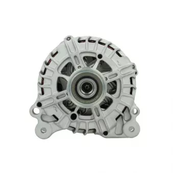 Alternateur BV PSH 305.597.180.000