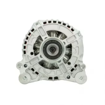 Alternateur BV PSH 305.598.140.014