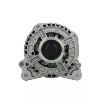 Alternateur BV PSH 305.599.140.014