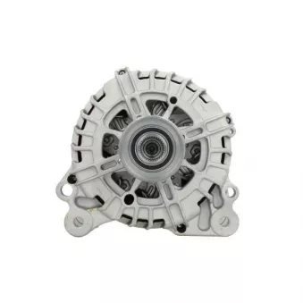 Alternateur BV PSH 305.906.140.004