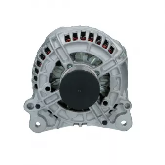 Alternateur BV PSH 305.907.140.018
