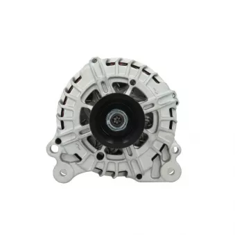 Alternateur BV PSH 305.914.180.004