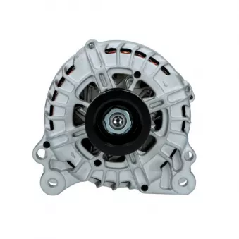 Alternateur BV PSH 305.914.180.008