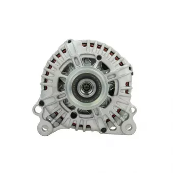 Alternateur BV PSH 305.916.140.004