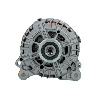 Alternateur BV PSH 305.917.140.500