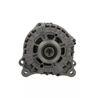 Alternateur BV PSH 305.918.220.500
