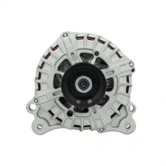 Alternateur BV PSH 305.919.220.004