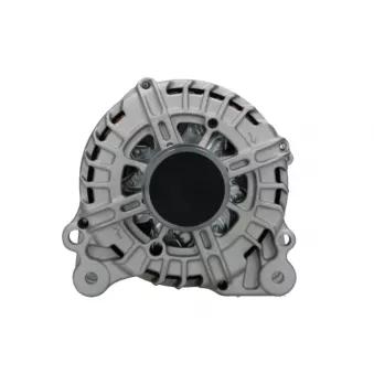 Alternateur BV PSH 305.923.140.000