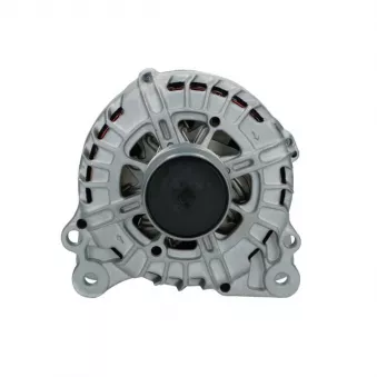 Alternateur BV PSH 305.923.140.008