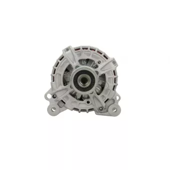Alternateur BV PSH 305.925.140.010