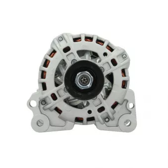 Alternateur BV PSH 305.931.110.010