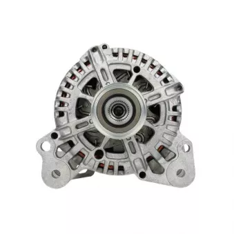 Alternateur BV PSH 305.943.110.500