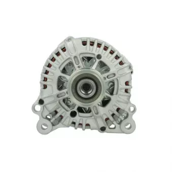 Alternateur BV PSH 305.945.140.004