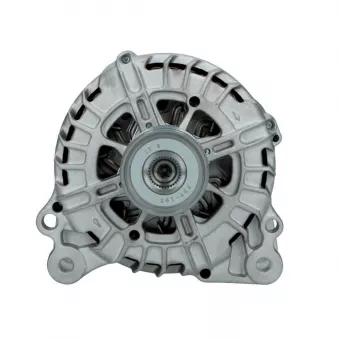 Alternateur BV PSH 305.952.140.008