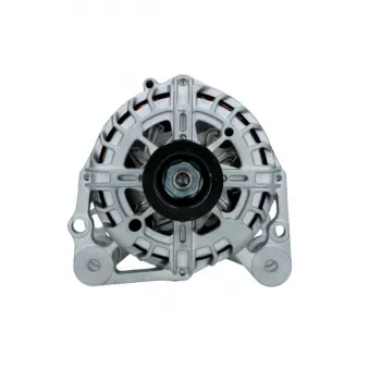 Alternateur BV PSH 305.955.090.008