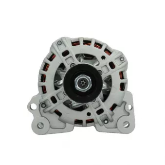 Alternateur BV PSH 305.960.110.010