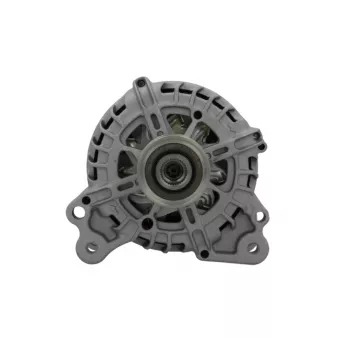 Alternateur BV PSH 305.965.110.004