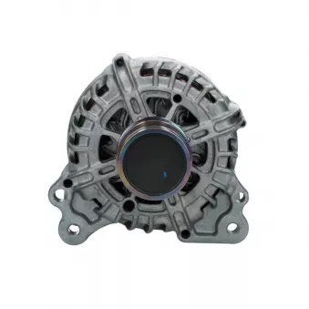 Alternateur BV PSH 305.969.110.500