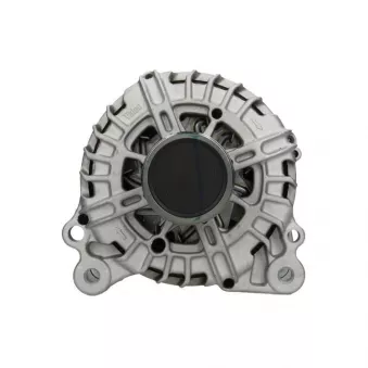 Alternateur BV PSH 305.973.140.500