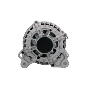 Alternateur BV PSH 305.975.110.004