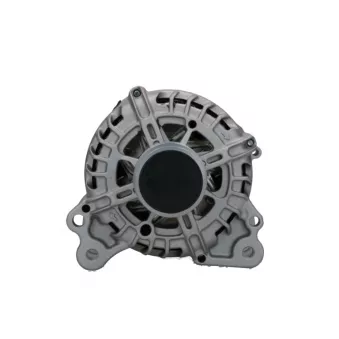 Alternateur BV PSH 305.975.110.008