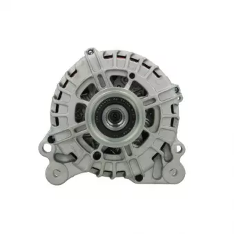 Alternateur BV PSH 305.988.140.004