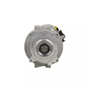 Alternateur BV PSH 307.403.250.346