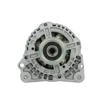 Alternateur BV PSH 425.502.110.010