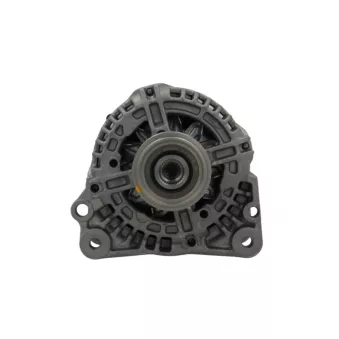 Alternateur BV PSH 425.502.110.280