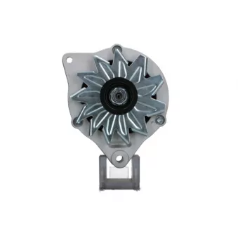Alternateur BV PSH 445.003.055.118