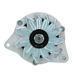 Alternateur BV PSH 445.003.070.118