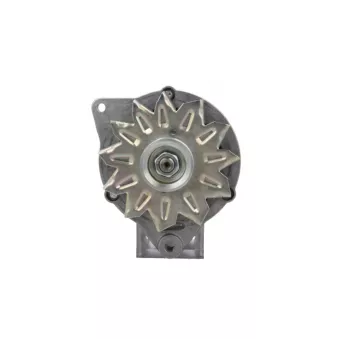 Alternateur BV PSH 445.004.070.395