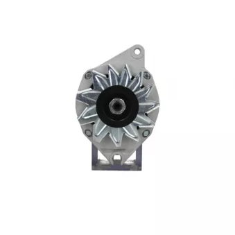 Alternateur BV PSH 455.003.070.008